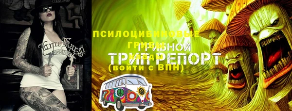 бутират Баксан